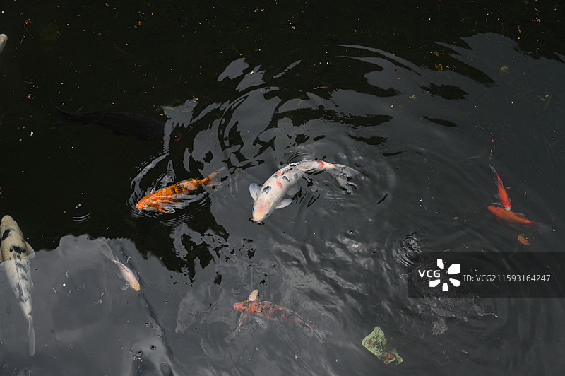 福建莆田仙游菜溪岩图片素材