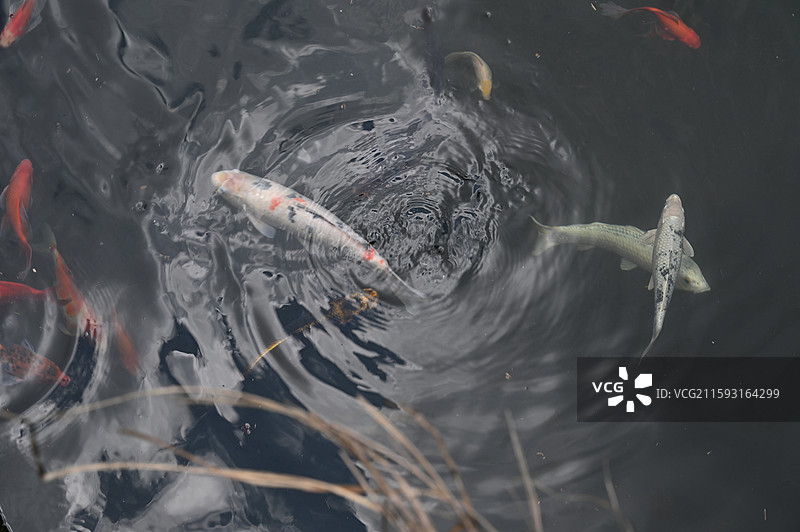 福建莆田仙游菜溪岩图片素材