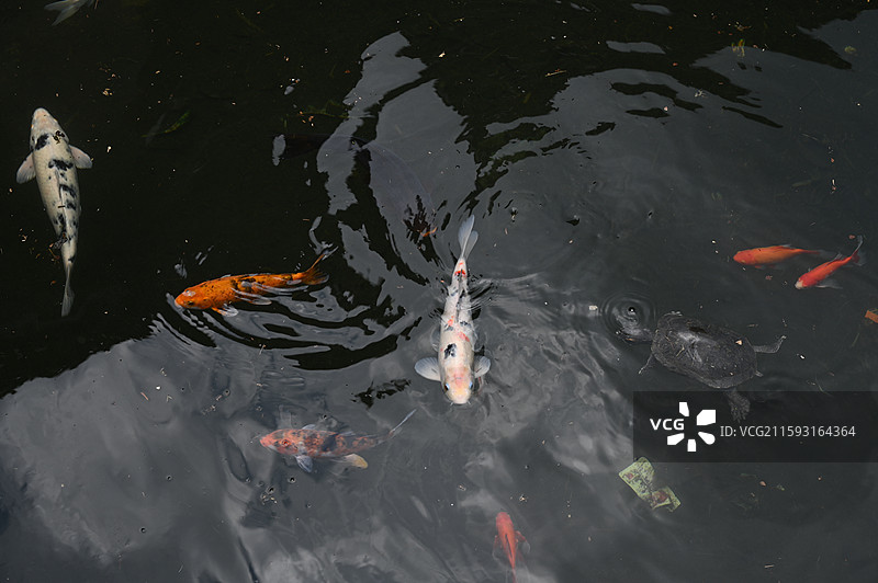 福建莆田仙游菜溪岩图片素材