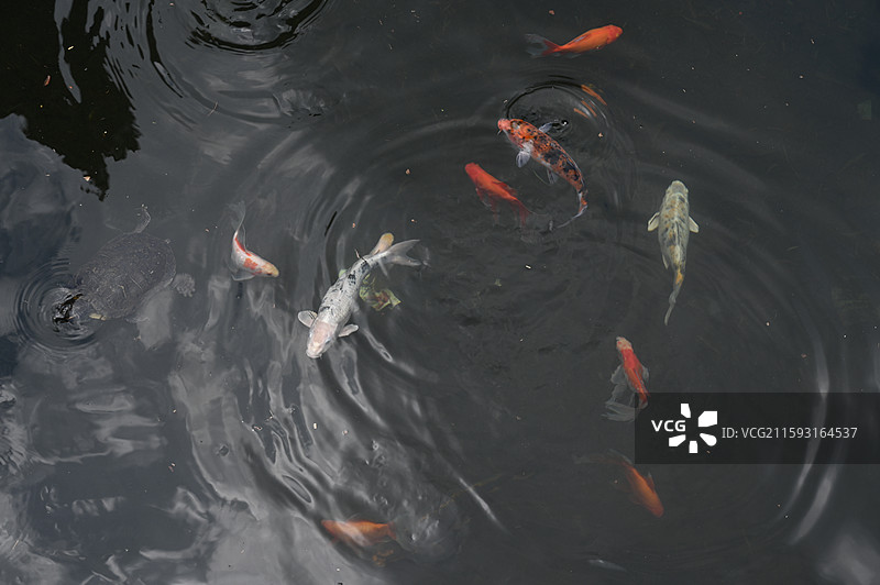 福建莆田仙游菜溪岩图片素材