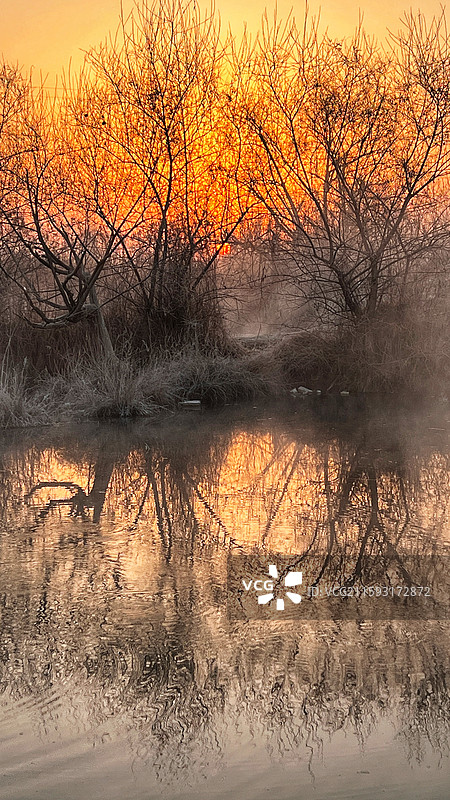 喀什吐曼河冬日小池塘图片素材