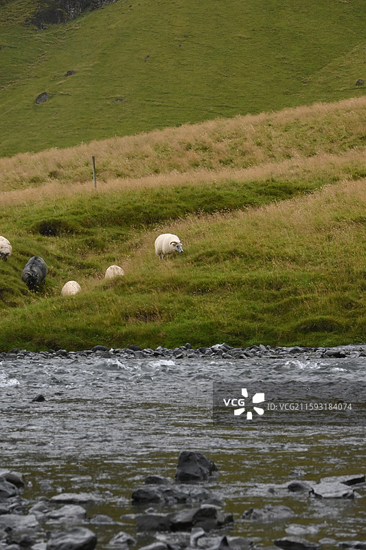 冰岛南岸图片素材