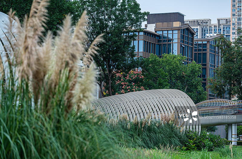 成都新金牛公园的各个角落图片素材