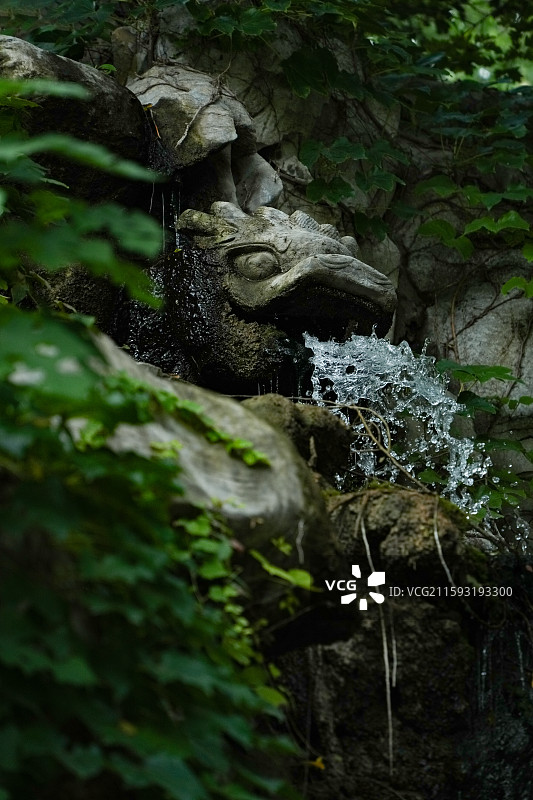 济南珍珠泉泉石特写图片素材