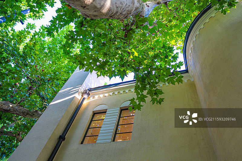 夏天绿色梧桐树下的武康路 优秀历史建筑 老洋房 衡复风貌区图片素材