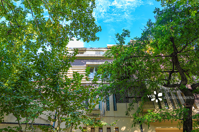夏天绿色梧桐树下的武康路 优秀历史建筑 老洋房 衡复风貌区图片素材