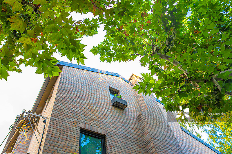 夏天绿色梧桐树下别墅老洋房  上海街景 海派风情 衡复风貌区图片素材