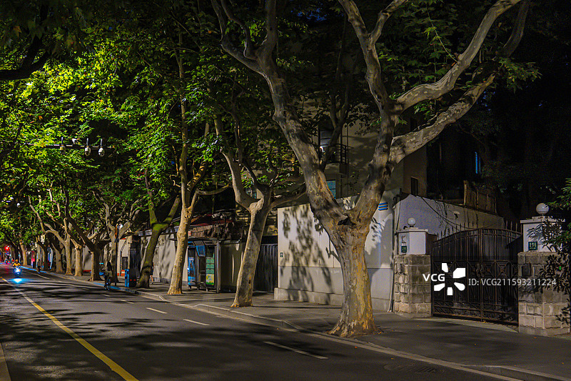 盛夏的上海梧桐树马路夜景 武康路街景 优秀历史建筑 老洋房 衡复风貌区图片素材