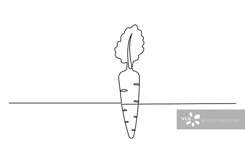 胡萝卜的单线轮廓画图片素材