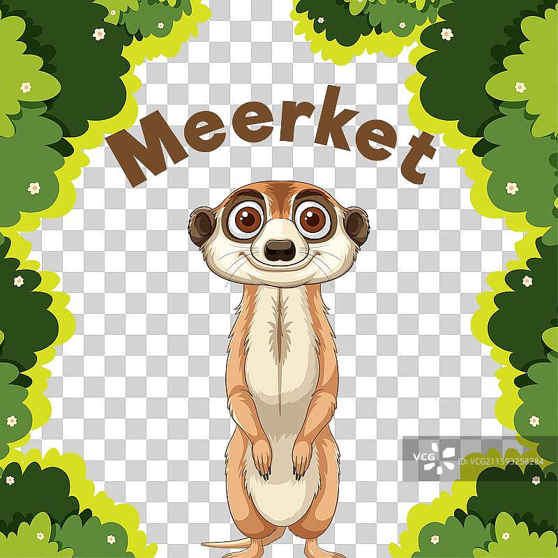 一只被树木环绕的狐獴图片素材