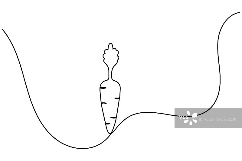 胡萝卜的单线轮廓画图片素材
