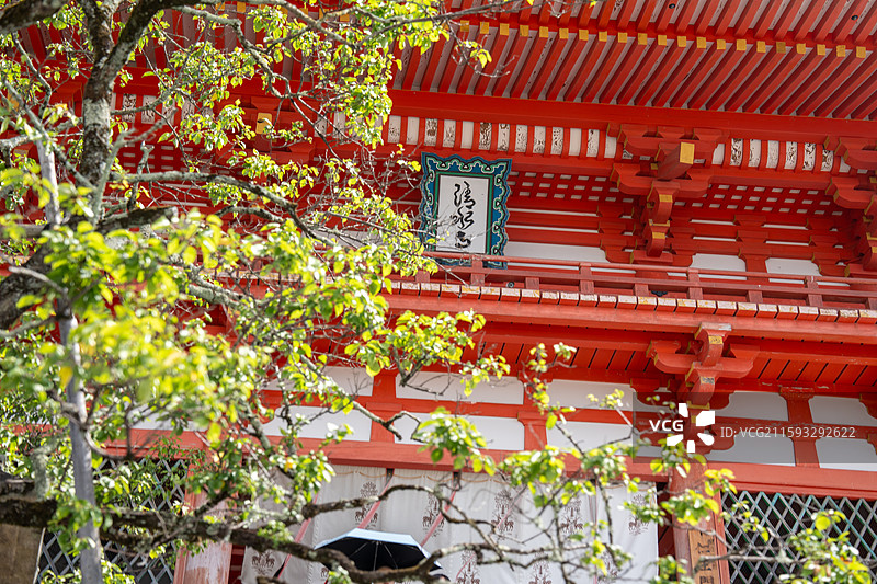 日本清水寺图片素材