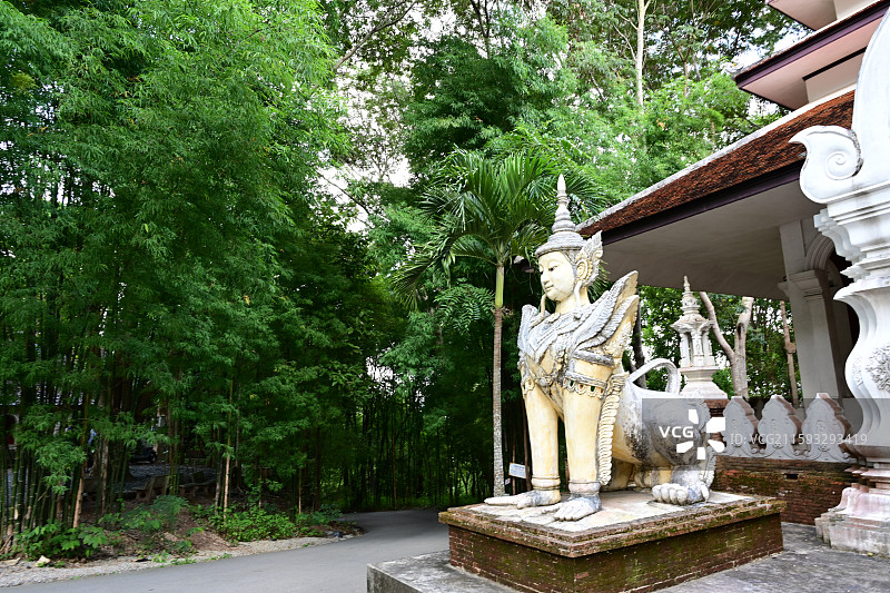 古城清迈，寺庙，素贴山徒步，啪啦寺，双龙寺，山顶看古城图片素材