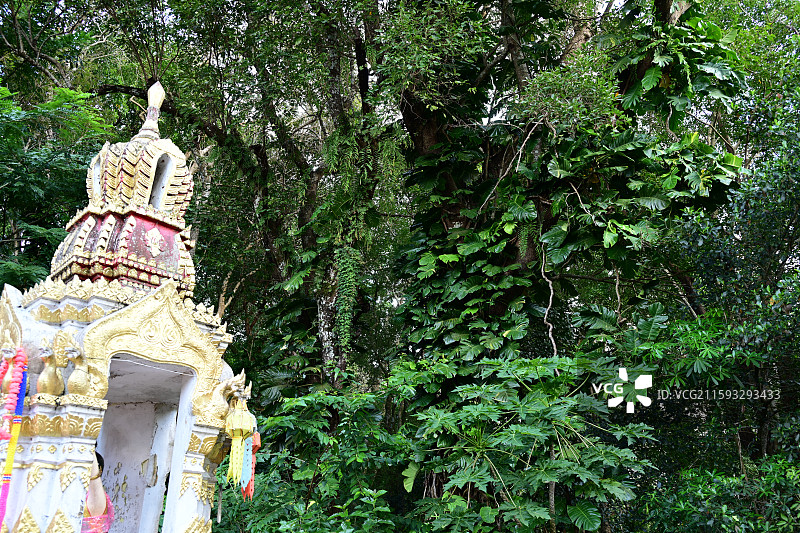 古城清迈，寺庙，素贴山徒步，啪啦寺，双龙寺，山顶看古城图片素材