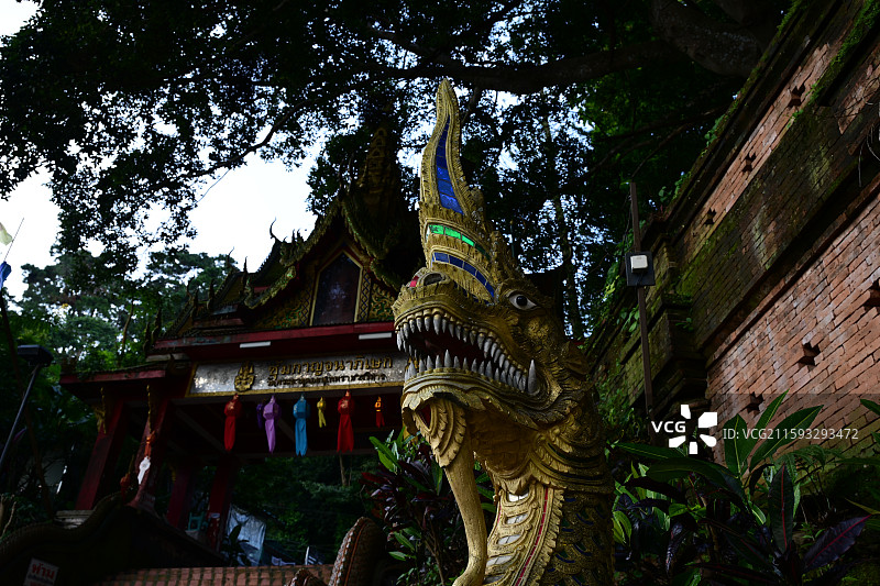 古城清迈，寺庙，素贴山徒步，啪啦寺，双龙寺，山顶看古城图片素材