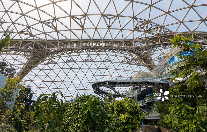 东方伊甸园室内植物景观图片素材