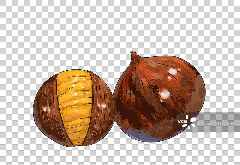 秋天的板栗插画元素图片素材