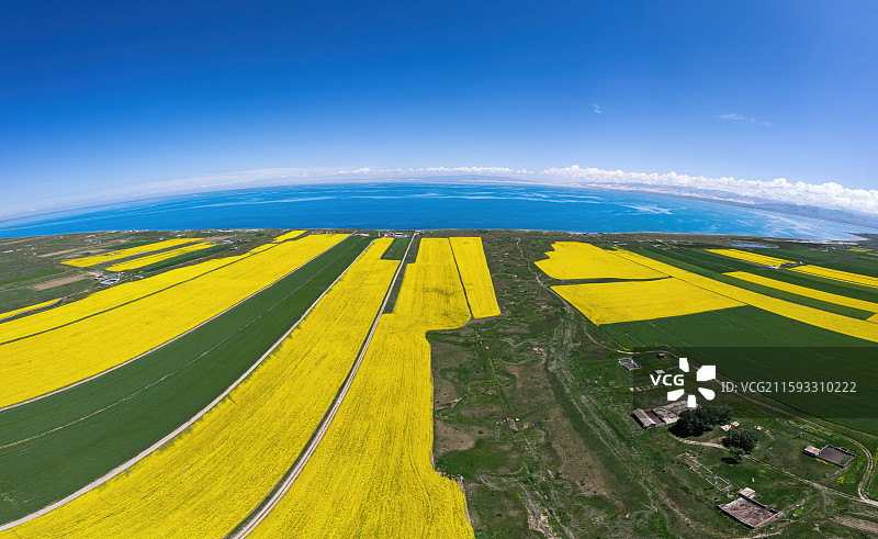青海省青海湖和青稞麦田油菜花航拍自然风光图片素材