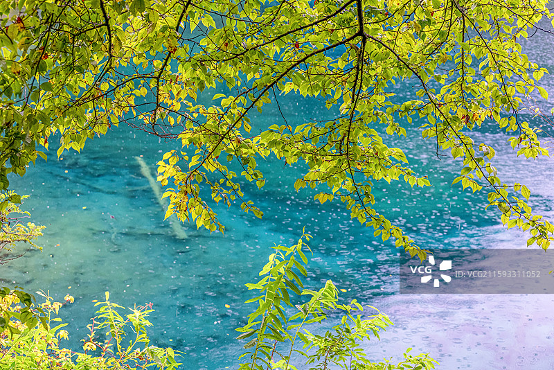 小雨中，中国九寨沟风景区金铃海景色图片素材