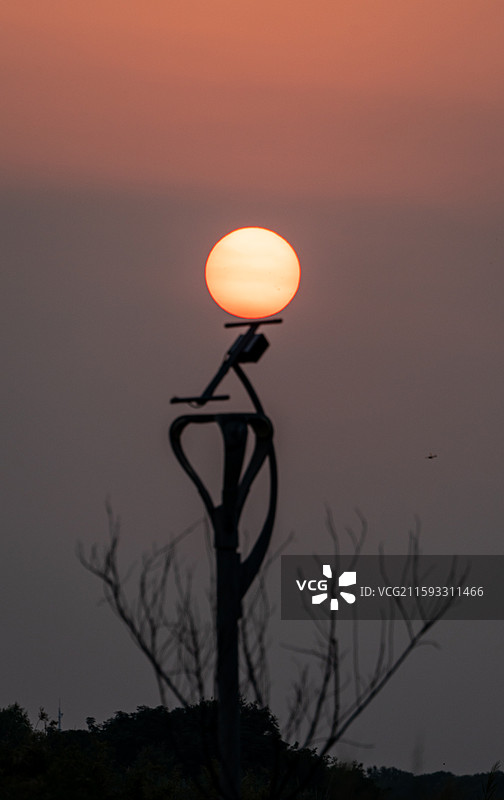 黄昏夕阳晚霞中的河北衡水衡水湖湿地公园自然景观日落风景图片素材