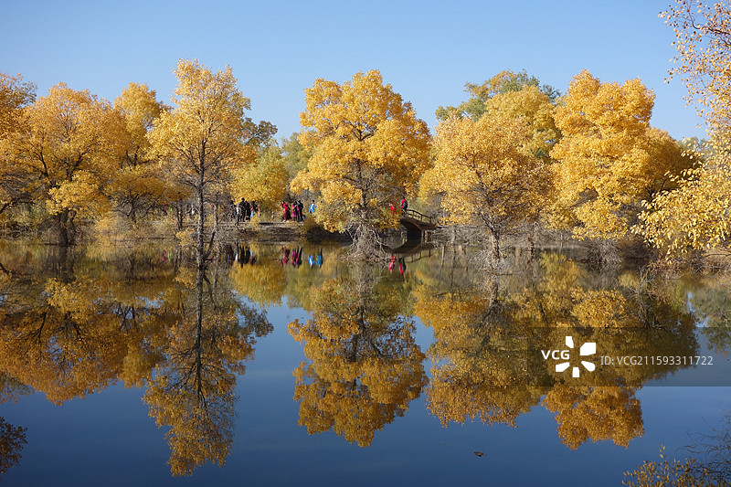 甘肃省酒泉市金塔县金塔胡杨林秋景和金波湖胡杨倒影图片素材