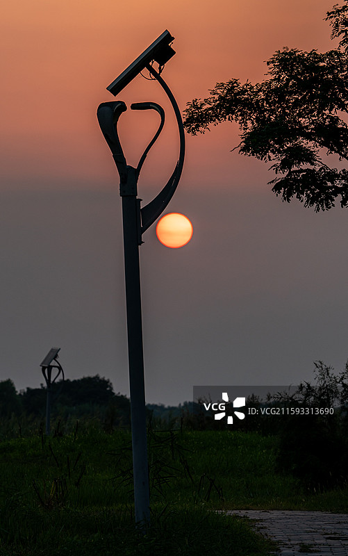 黄昏夕阳晚霞中的河北衡水衡水湖湿地公园自然景观日落风景图片素材