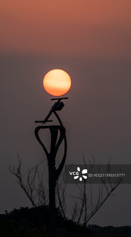 黄昏夕阳晚霞中的河北衡水衡水湖湿地公园自然景观日落风景图片素材