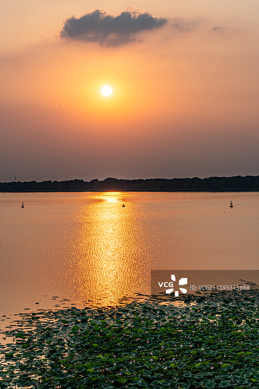 黄昏夕阳晚霞中的河北衡水衡水湖湿地公园自然景观日落风景图片素材