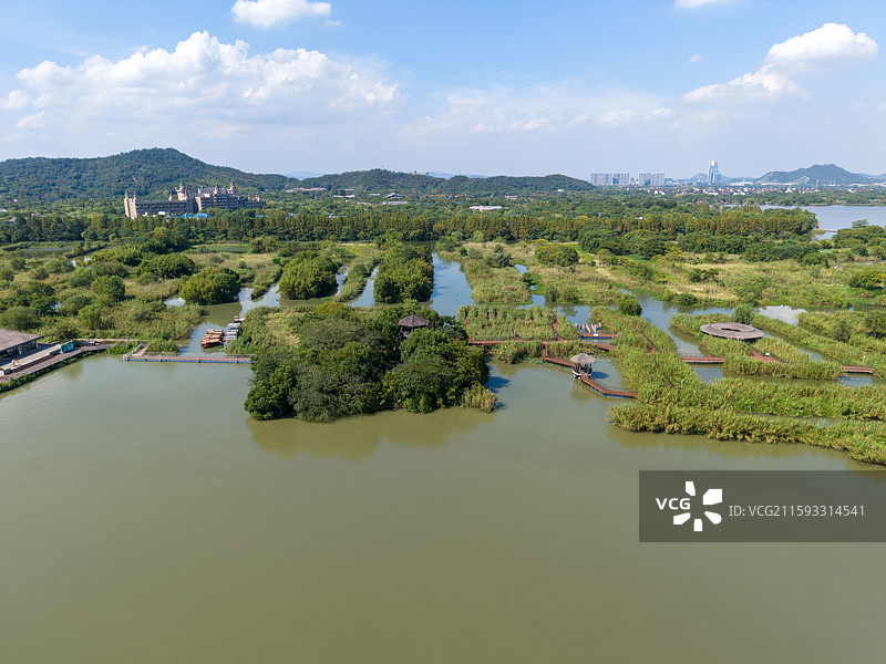 德清下渚湖芦苇迷宫图片素材