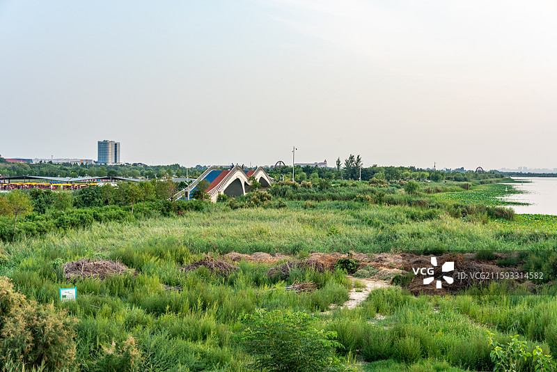 河北衡水湖湿地公园园博园自然景观图片素材