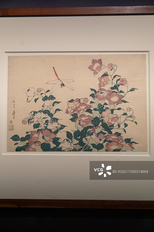 故宫乐林泉中外园林文化展风铃草与蜻蜓图片素材