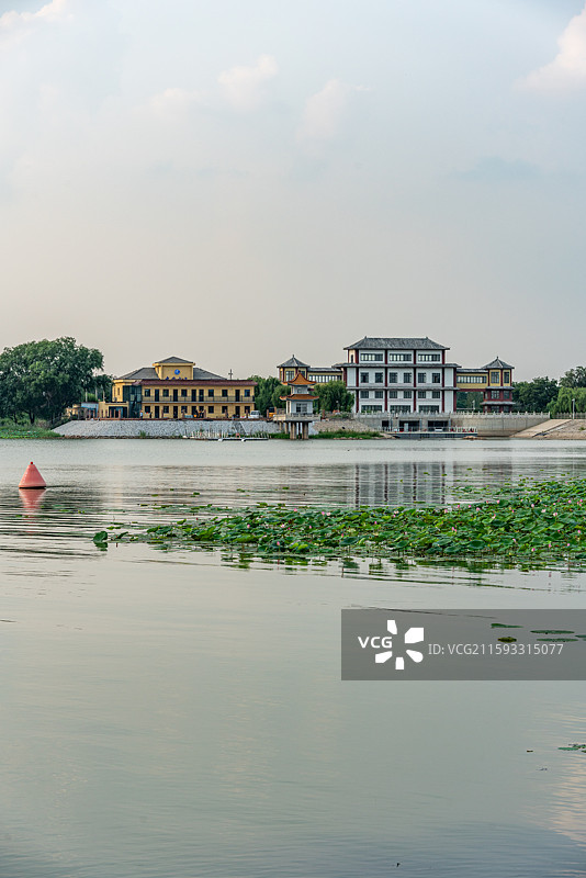 河北衡水湖湿地公园荷塘荷花景观图片素材