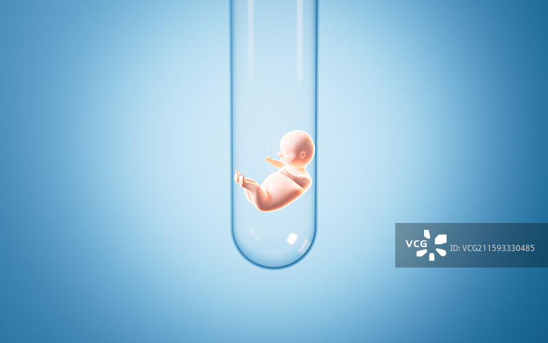 试管婴儿和胚胎模型3D渲染图片素材