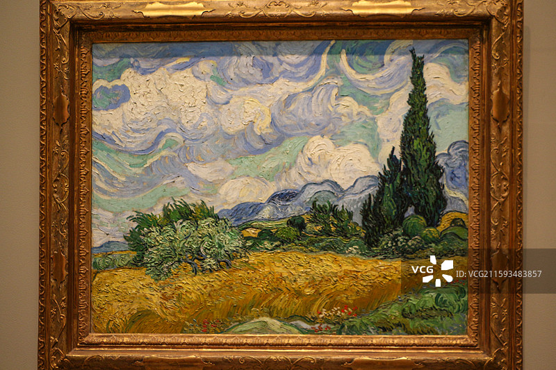 美国大都会博物馆展出的著名画家梵高的作品《麦田与柏树》图片素材