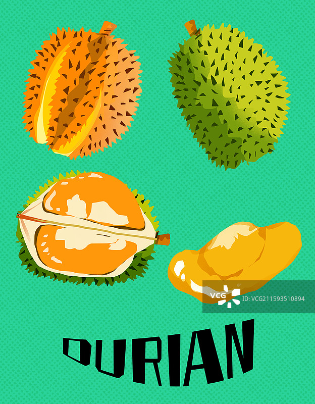 榴莲插画图片素材