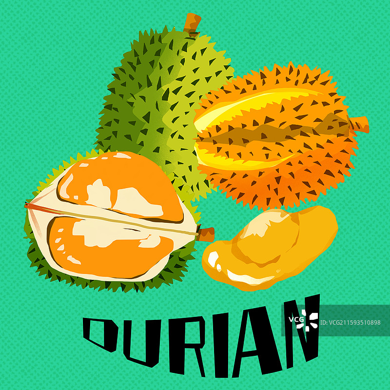 榴莲插画图片素材