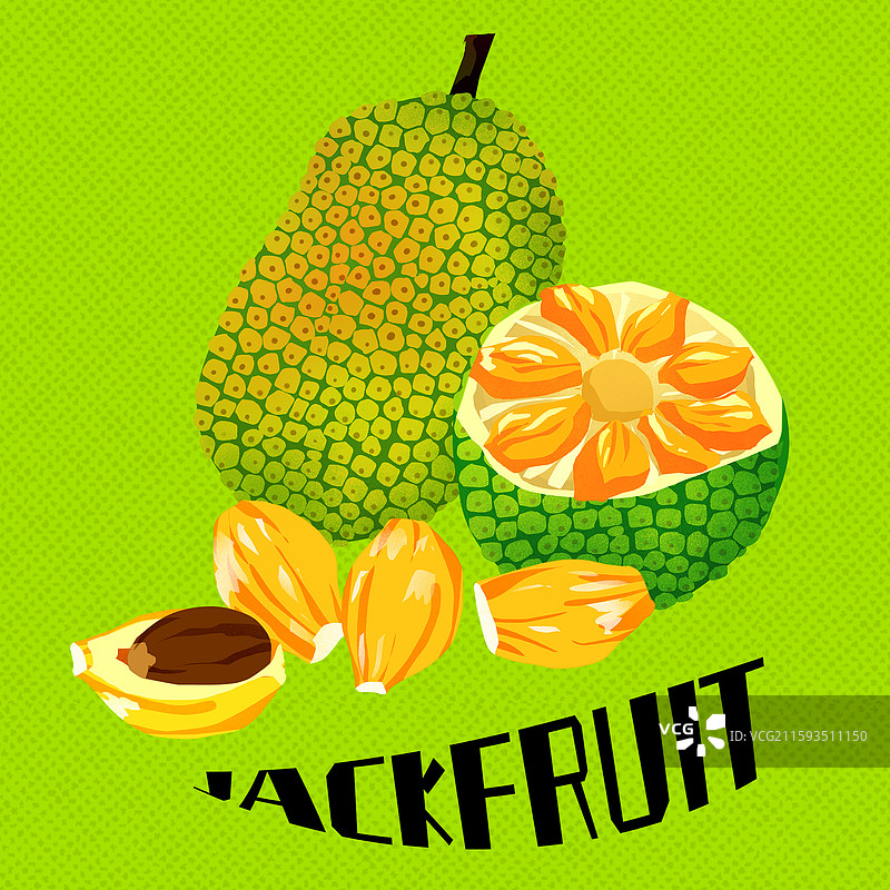 菠萝蜜插画图片素材