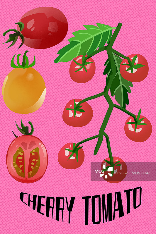 圣女果插画图片素材