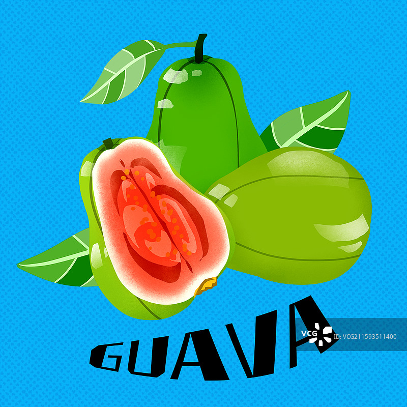 芭乐插画图片素材