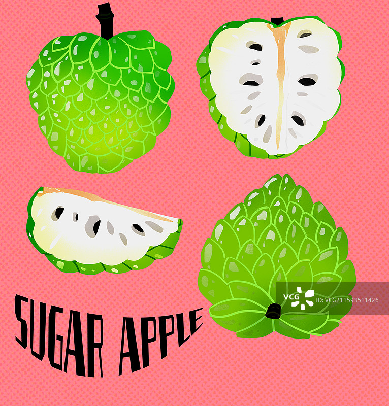 释迦果插画图片素材