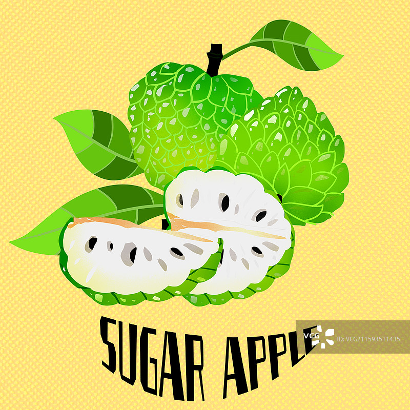 释迦果插画图片素材