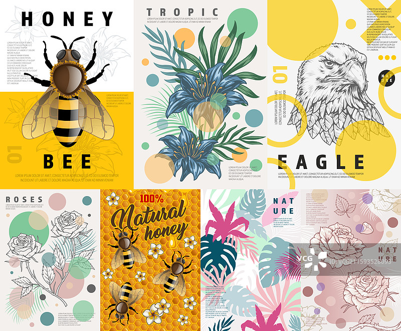 野生动物自然主题彩色宣传单图片素材