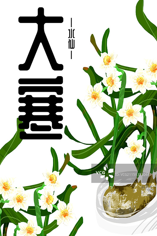 二十四节气大寒节令花卉水仙图片素材