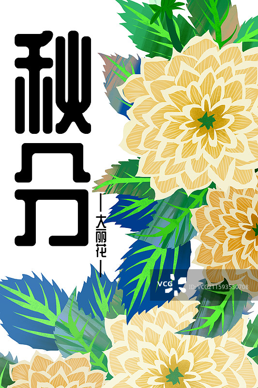 二十四节气秋分节令花卉大丽花图片素材
