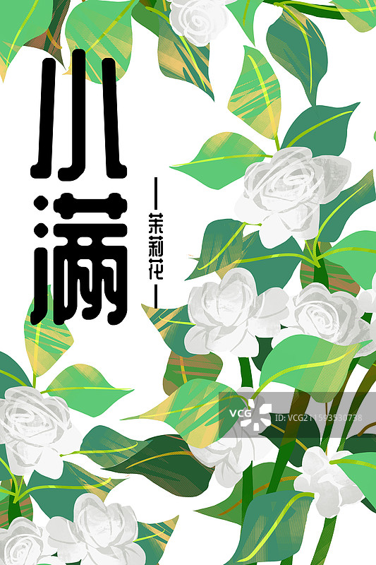二十四节气小满节令花卉茉莉花图片素材