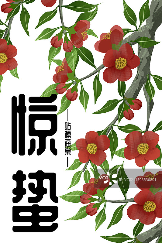 二十四节气惊蛰节令花卉贴梗海棠图片素材