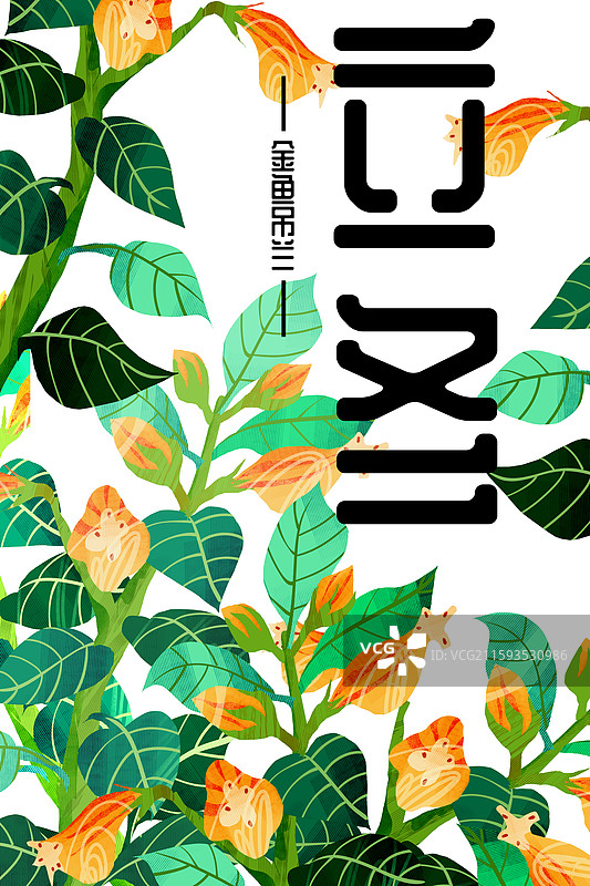 二十四节气立冬节令花卉金鱼吊兰图片素材