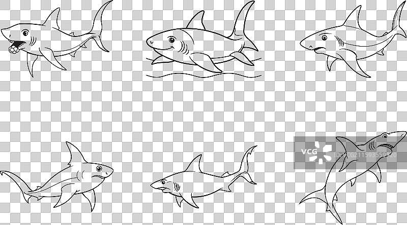 锤头鲨线条艺术系列图片素材