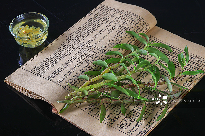 霍山石斛 鲜条图片素材