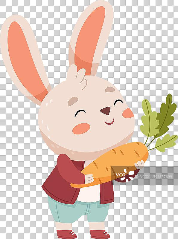 可爱的兔子抱着胡萝卜素食兔子农夫图片素材